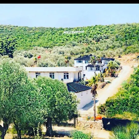 Millionswood * Cesme